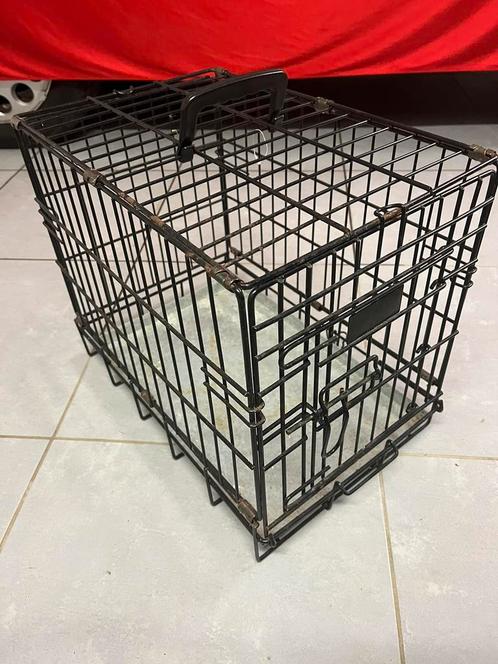 Cage transport pour chien ou chat, Animaux & Accessoires, Boîtes de transport