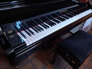 Piano Quart queue // Wendl & Lung 2012, Musique & Instruments, Pianos, Enlèvement ou Envoi, Piano