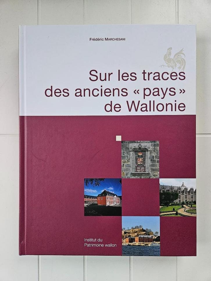 In de voetsporen van de oude landen van Wallonië, Boeken, Geschiedenis | Nationaal, Zo goed als nieuw, Ophalen of Verzenden