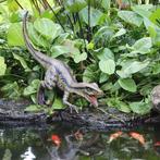 Velociraptor – Razor Beaks Lengte 127 cm Gell Coated, Ophalen, Nieuw