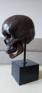 Prachtig Zwaar Bronzen Beeld Schedel Skull, Antiek en Kunst, Kunst | Beelden en Houtsnijwerken, Ophalen of Verzenden