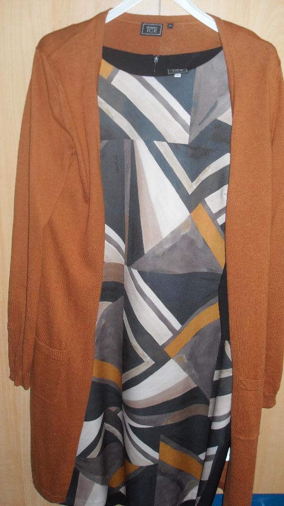 winterkoopje, Kleding | Dames, Jurken, Zo goed als nieuw, Maat 42/44 (L), Overige kleuren, Ophalen