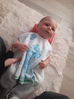 Bébé reborn garçon, Enlèvement, Utilisé, Poupée, Réaliste ou Reborn