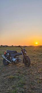 Dax 72cc lowrider, Fietsen en Brommers, Minibikes, Midibikes en Pitbikes, Overige typen, 72 cc, Zo goed als nieuw, Ophalen