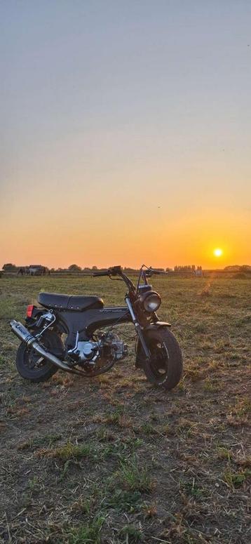 Dax 72cc lowrider