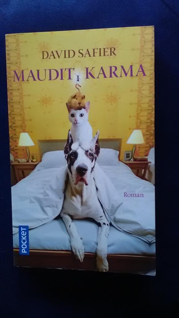 „Verdomd karma” David Safier (2007) negen, Boeken, Romans, Nieuw, Europa overig, Ophalen of Verzenden