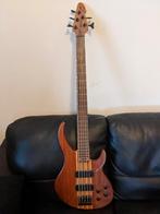 Peavey Grind Bass 5 String for Sale!!!, Muziek en Instrumenten, Snaarinstrumenten | Gitaren | Bas, Ophalen, Gebruikt, Elektrisch