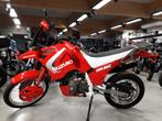 SUZUKI DR750 BIG 1988, 1 cylindre, Autre, Plus de 35 kW, 750 cm³