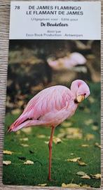 Prent: De James Flamingo (reeks Bedreigde diersoorten), Collections, Utilisé, Enlèvement ou Envoi, Gravure, Animal