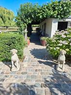 Honden in beton te koop, Ophalen, Beton