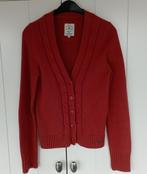 Cardigan en grosse maille marron rouille Tom Tailor avec bou, Vêtements | Femmes, Taille 38/40 (M), Enlèvement ou Envoi, Brun