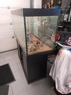 Aquarium 1m50 gratis, Ophalen, Zo goed als nieuw