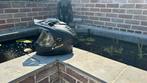 LS2 adventure helm, Fietsen en Brommers, Brommerhelmen, Ophalen, Zo goed als nieuw, Medium, LS2