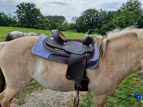 Selle wintec WIDE, Animaux & Accessoires, Chevaux & Poneys | Selles, Comme neuf, Western, Enlèvement ou Envoi