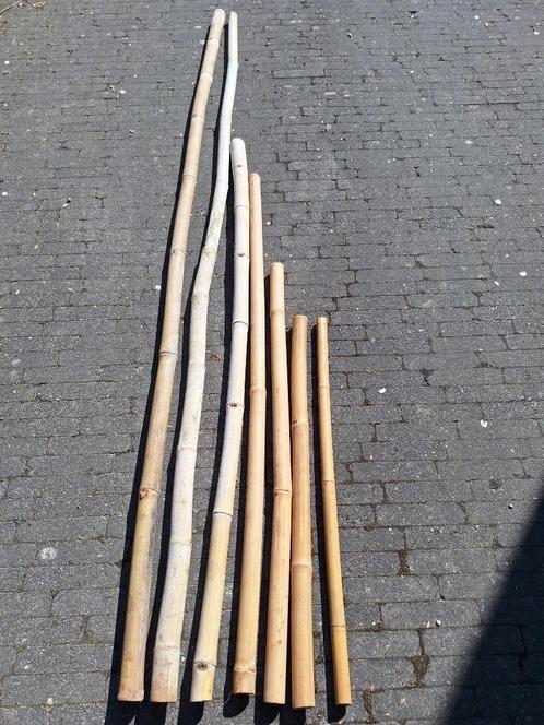 Lot van 7 grote bamboestokken., Tuin en Terras, Kweekspullen, Zo goed als nieuw, Overige typen, Ophalen