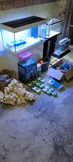 Aquariums/filters/toebehoren, Dieren en Toebehoren, Ophalen, Gebruikt, Leeg aquarium