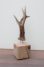 Zesender REE GEWEI paar op stevige houten sokkel (ref. 2), Verzamelen, Dierenverzamelingen, Ophalen of Verzenden, Nieuw, Hert