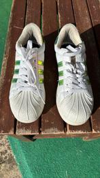 Basket Adidas superstar, Ophalen, Adidas, Wit, Zo goed als nieuw
