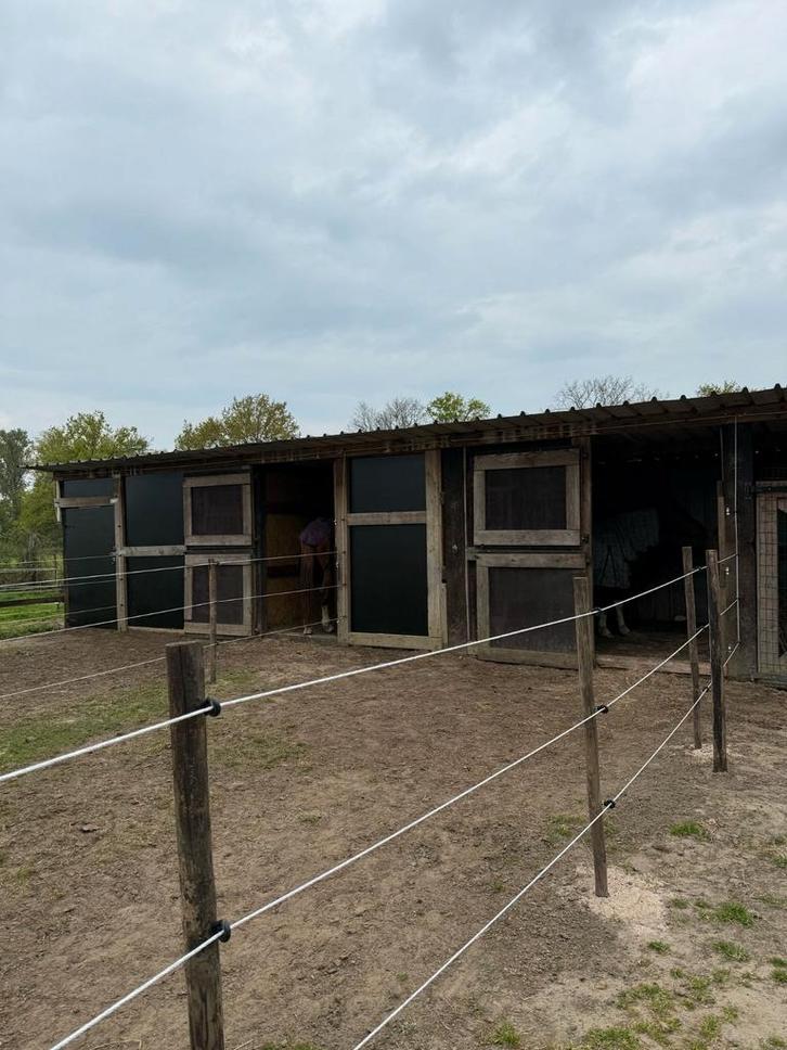 Weideplek te huur, Dieren en Toebehoren, Stalling en Weidegang