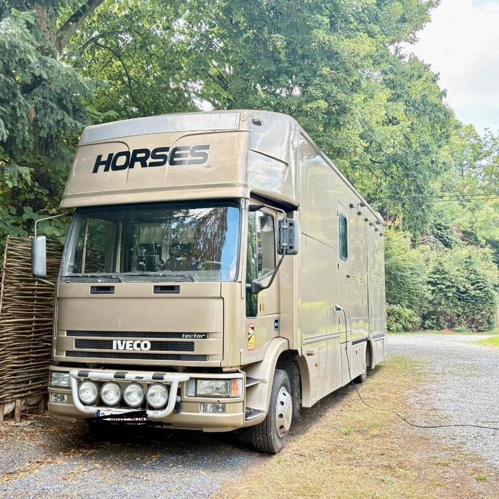 3-Horse Truck – Motorhome for 5 People – IVECO 280 hp, Animaux & Accessoires, Chevaux & Poneys | Semi-remorques & Remorques, Utilisé