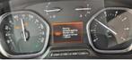 Adblue UREA storing BlueHDI peugeot oplossing P20E8, Auto-onderdelen, Ophalen, BMW