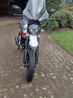 Motocyclette Ducati Desert Sled, Motos, Motos | Ducati, Plus de 35 kW, 803 cm³, 1 cylindre, Sport