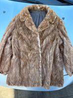 3 Manteau en Fourrure, Enlèvement