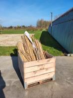 Diverse bamboes ,, Ophalen