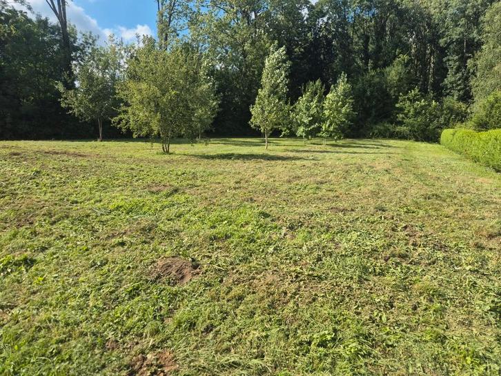 Prestation de fauchage gyrobroyage, Articles professionnels, Agriculture | Outils