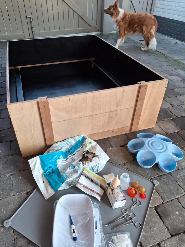 Complete werpkist met uitneembare doodligrand en toebehoren, Dieren en Toebehoren, Honden-accessoires, Ophalen