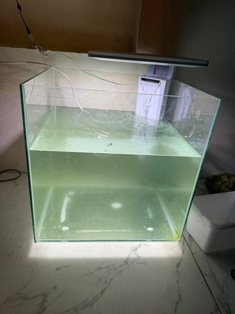 A vendre prix achat 250 euros, Animaux & Accessoires, Enlèvement ou Envoi, Comme neuf