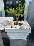 NIEUWE witte bloempot plantenbak Fiberstone Jan Des Bouvrie, Kunststof, 40 cm of meer, Vierkant, Nieuw