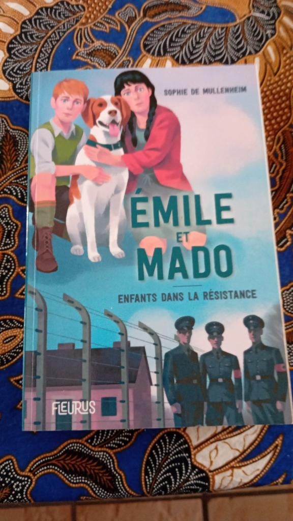 Livres, Livres, Romans historiques, Enlèvement