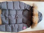 Canada goose jas grijs, Kleding | Heren, Ophalen, Zo goed als nieuw, Grijs