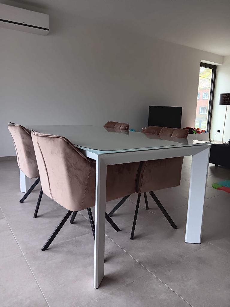 Table en verre, 150 à 200 cm, Cinq personnes ou plus, Comme neuf, Verre