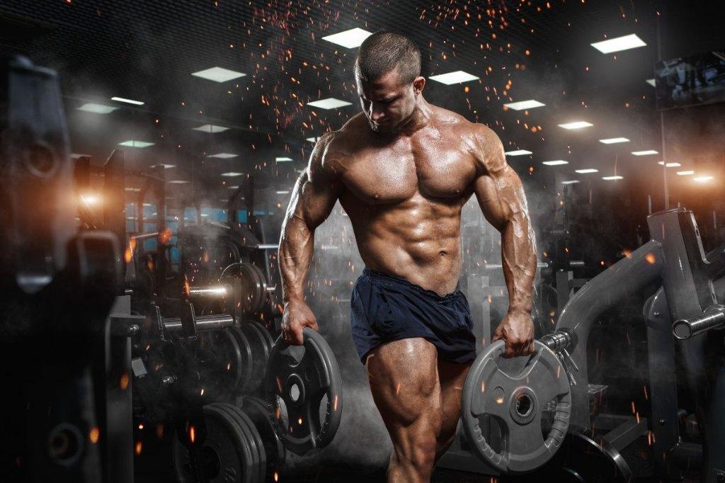 Bodybuilding Supplement Stack – Muscle Gain & Fat Loss, Ophalen of Verzenden, Nieuw, Benen