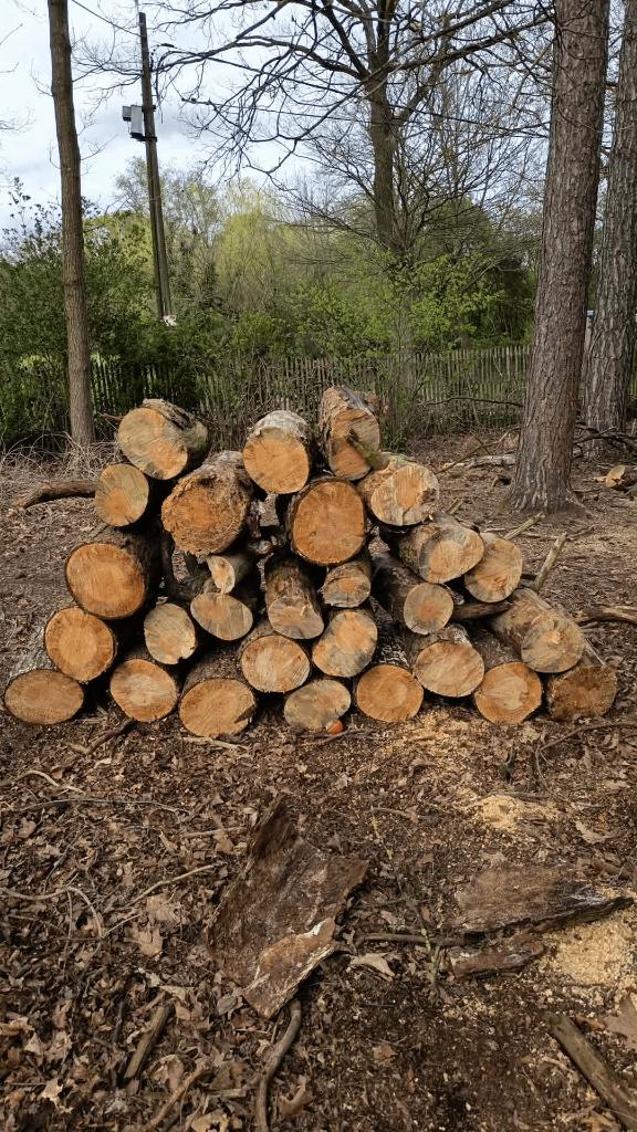 Brandhout (gekloofd), Enlèvement