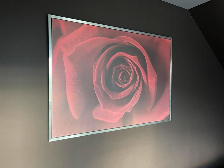 Canvas “Rose” | Ikea, Antiek en Kunst, Kunst | Schilderijen | Abstract, Ophalen