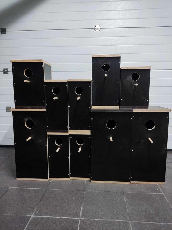 Broedblokken, Dieren en Toebehoren, Vogels | Hokken en Kooien, Ophalen