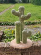 Petit arbre à chat Cactus  55 cm, Animaux & Accessoires, Enlèvement