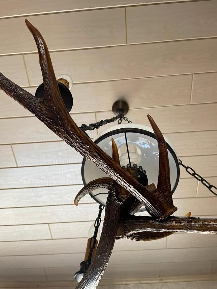Lustre authentique en bois de cerf, Antiquités & Art, Curiosités & Brocante, Enlèvement