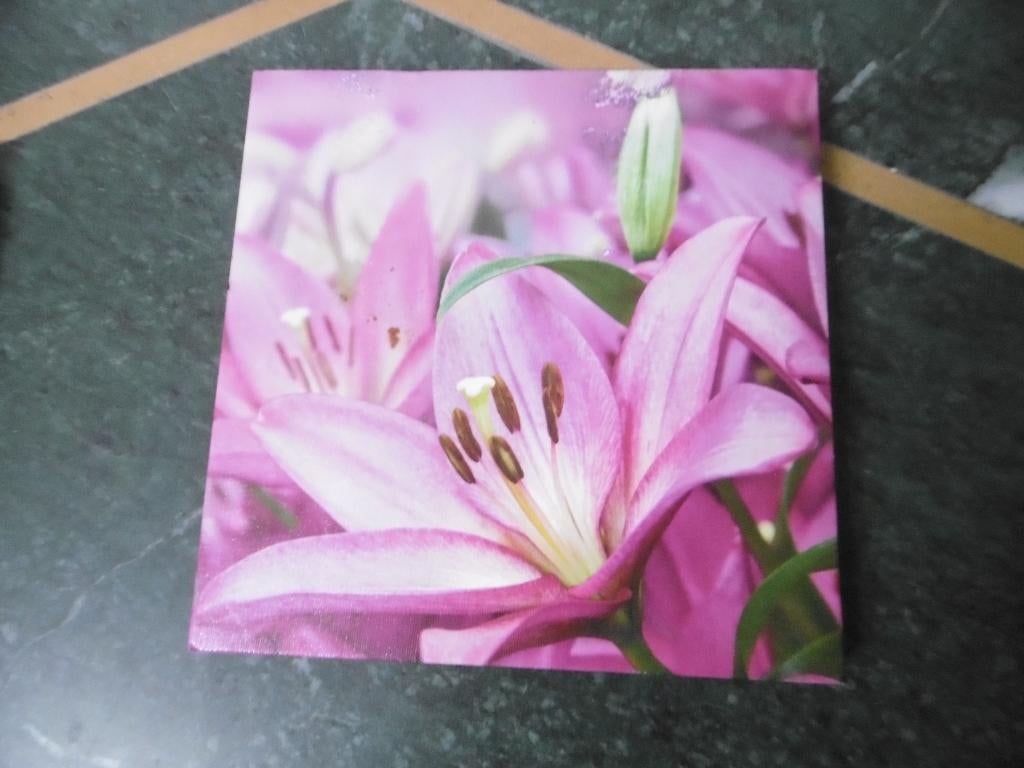 tableau décoratif, Enlèvement ou Envoi, Comme neuf