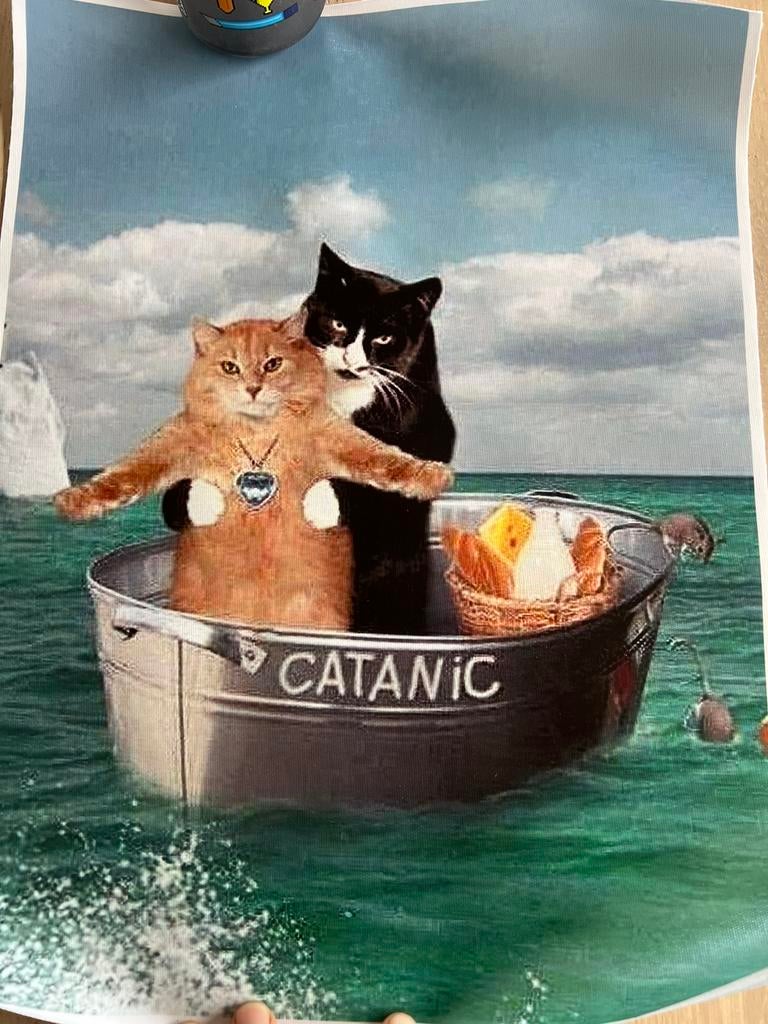 Canvas catanic, Collections, Posters & Affiches, Enlèvement ou Envoi, Comme neuf