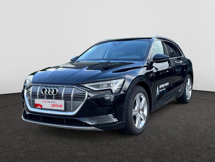 Audi e-tron E-Tron 95 kWh 55 Quattro Advanced, Auto's, Audi, Overige modellen, ABS, Airbags, Cruise Control, Navigatiesysteem
