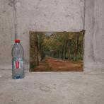 Zonnige dreef met platanen - Daniel Quyo, Ophalen