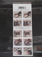 B96 Marters - Mustélidés ON-ND 2008, Ophalen of Verzenden