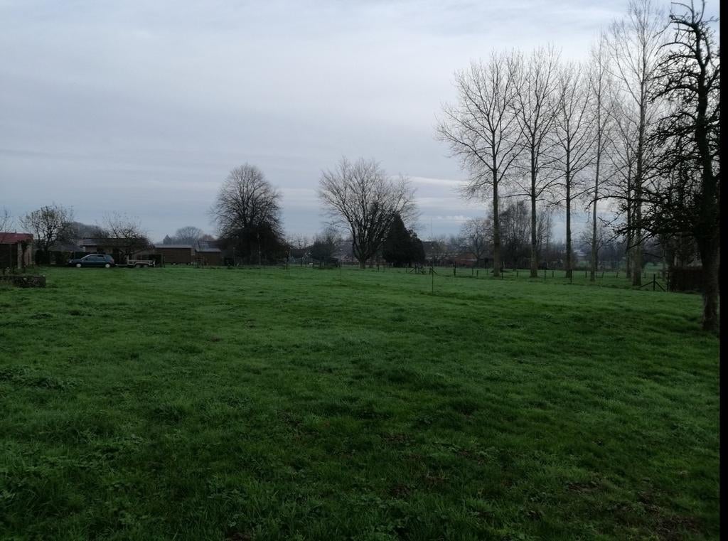 Prairie à louer Huissignies