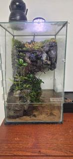 Planted paludariums, Dieren en Toebehoren, Ophalen of Verzenden