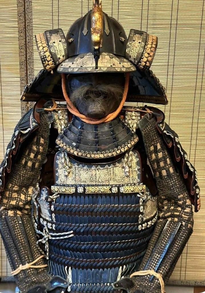 Japan Antique Yoroi Set Edo de Bushi Antique, Collections, Objets militaires | Général, Enlèvement ou Envoi