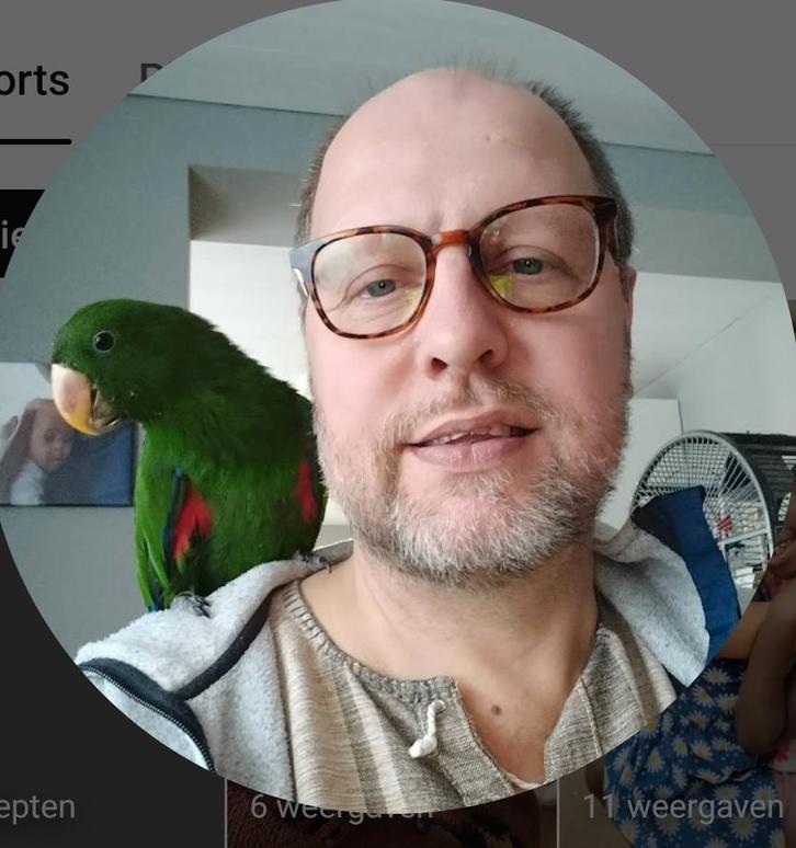 Edel papegaai mannetje te koop. Wij noemen hem Louis, Contacten en Berichten, Advies en Oproepen